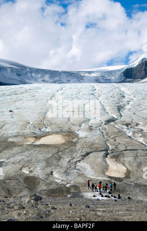 Athabasca Gletscher, Columbia Icefield, Jasper Nationalpark, Alberta, Kanada Stockfoto