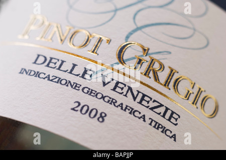 Pinot Grigio Delle Venezie Weinetikett closeup Stockfoto