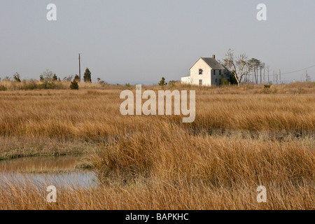 Haus im Moor Stockfoto