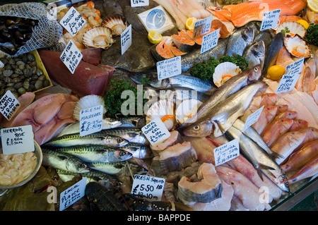 Auswahl an frischen Fisch auf einem fischhändler Zähler. Hastings, England, Großbritannien Stockfoto