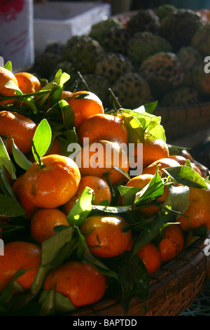Frischen Clementinen zum Verkauf auf dem Lebensmittelmarkt in Hoi an, Vietnam Stockfoto