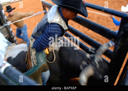 Rodeo Bull Rider Leistung an der Texas State Fair Rodeo Arena/Dallas 2008 Stockfoto