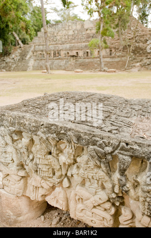 Copan Ruinas Maya archäologischer Park, Honduras. Stockfoto