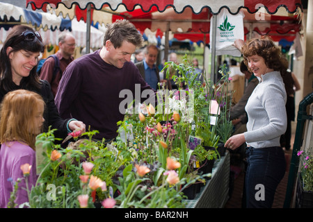 Blume Stand auf Stroud Farmers Market, Stroud, Gloucestershire, UK Stockfoto