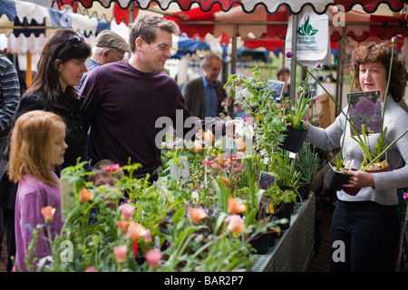 Blume Stand auf Stroud Farmers Market, Stroud, Gloucestershire, UK Stockfoto