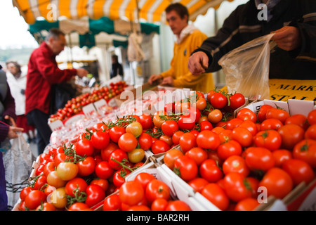 Tomaten zum Verkauf an Stroud Farmers Market, Stroud, Gloucestershire, UK Stockfoto