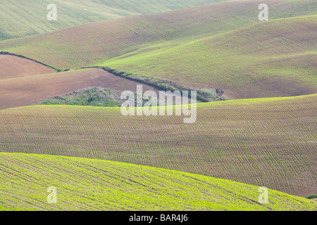 Eine hügelige Landschaft in Cordoba Provinz Andalusien Spanien Stockfoto