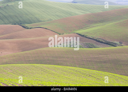 Eine hügelige Landschaft in Cordoba Provinz Andalusien Spanien Stockfoto