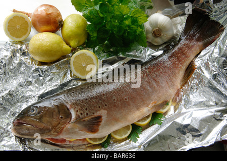 Frischer Saibling, Nahaufnahme Stockfoto