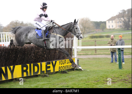 Pferde springen letzten Zaun in Sedgefield Rennen UK Stockfoto