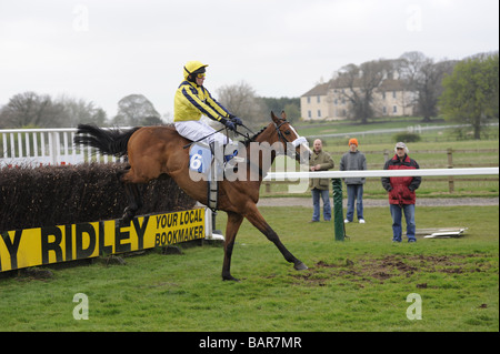 Pferde springen letzten Zaun in Sedgefield Rennen UK Stockfoto