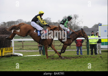 Pferde springen letzten Zaun in Sedgefield Rennen UK Stockfoto