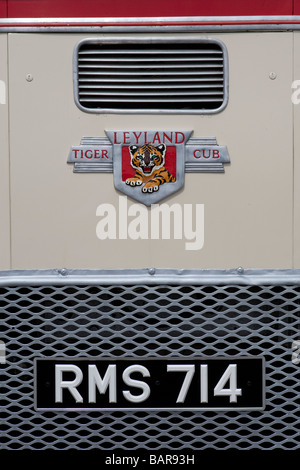 Heizkörper von 1961 Leyland Tiger Cub einzelne Doppeldecker-Bus während kommerzielle Oldtimer Rallye, Brighton. Stockfoto