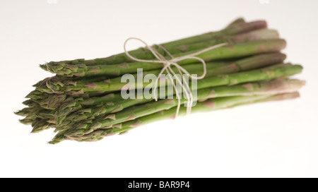 Frischer Spargel Stockfoto