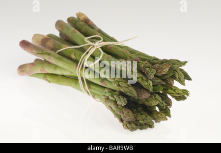 Frischer Spargel Stockfoto