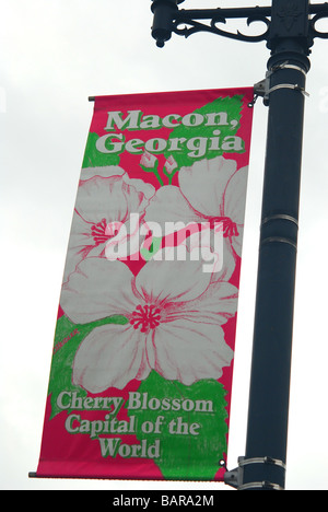 Straßenschild und Street in Macon, Georgia Cherry Blossom-Hauptstadt der Welt Stockfoto