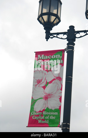 Cherry Blossom Banner Zeichen in Macon, Georgia GA Stockfoto