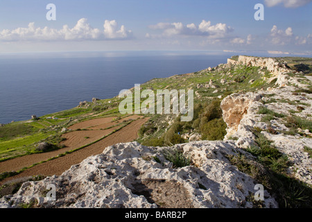 Kalkrücken an der Nordwestküste Maltas, einer mediterranen Insel in Europa. Maltesische ländliche Landschaft. Stockfoto