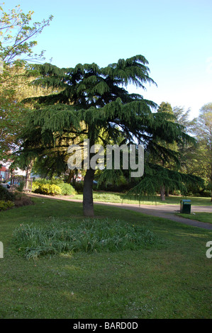 Montrose Pk, Burnt Oak, Barnett, London, England Stockfoto