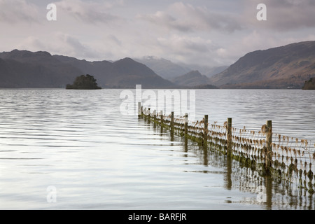 Blick über Derwentwater von Brüdern Crag, einem beliebten Aussichtspunkt und Spaziergang in Keswick im englischen Lake District Stockfoto