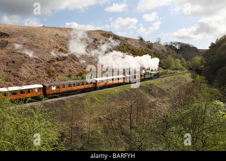 Lokomotive 60163 Tornado am Wasser Arche auf die North York Moors railway ziehen einem Rake von Lner teak Trainer, England gesehen, Großbritannien Stockfoto