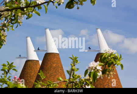 Oast Häuser und blühen in Kent Stockfoto