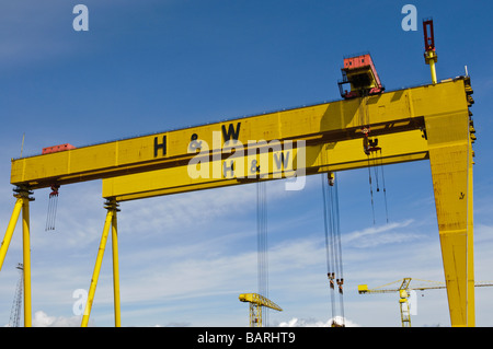 Samson und Goliath Krane die berühmten gelben Harland und Wolff, Belfast Stockfoto