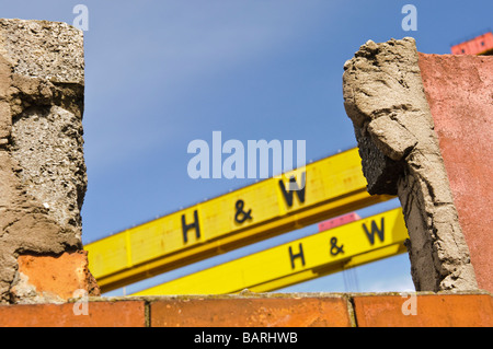 Samson und Goliath Krane die berühmten gelben Harland und Wolff, Belfast Stockfoto