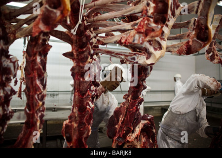 Schlachthof Anlage Fleisch exportieren Mato Grosso Staat Amazonas Brasilien Stockfoto