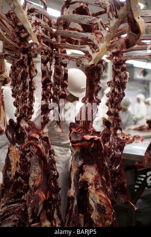 Schlachthof Anlage Fleisch exportieren Mato Grosso Staat Amazonas Brasilien Sicherheit Ausrüstung Stahl Handschuhe Stockfoto