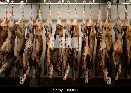 Schlachthof Anlage Fleisch exportieren Mato Grosso Staat Amazonas Brasilien Stockfoto