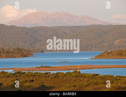 Blick vom c 251, Macquarie Köpfe Straße über zu teepookana Forest Reserve, in der Nähe von Hobart Tasmanien Australien Stockfoto