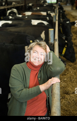 Frau Mary Mead Yeo Valley betreibt einen Teil ihrer Holstein-friesischen Milchkühe (schwarz-weiß). Blagdon, Somerset England, 2. Dezember 2008 2000, Großbritannien Stockfoto