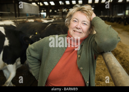 Frau Mary Mead Yeo Valley betreibt einen Teil ihrer Holstein-friesischen Milchkühe (schwarz-weiß). Blagdon, Somerset England, 2. Dezember 2008 2000, Großbritannien Stockfoto