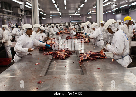 Schlachthof Anlage Fleisch exportieren Mato Grosso Staat Amazonas Brasilien Stockfoto