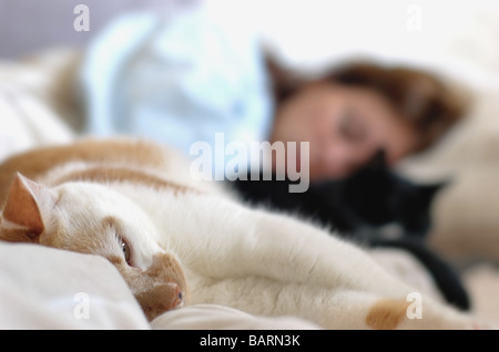 eine Frau und zwei Katzen entspannen Sie sich auf Bett Stockfoto