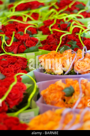 bunte Taschen von Rosen Hintergrund Stockfoto