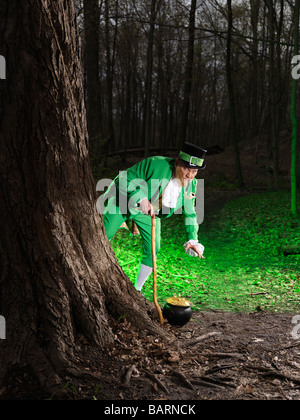 Kobold mit einem Topf voll Gold in einem Wald Stockfoto