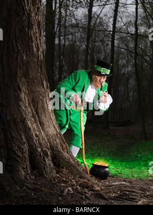 Kobold mit einem Topf voll Gold in einem Wald Stockfoto