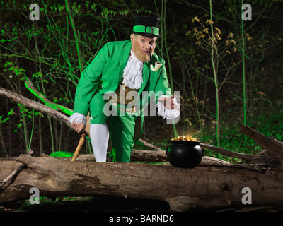 Kobold mit einem Topf voll Gold in einem Wald Stockfoto