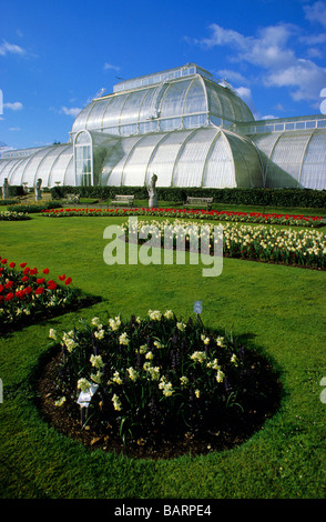 Kew Gardens Palm House London England Stockfoto