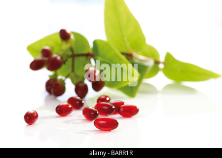 St.John´s-Anlage Johanniskraut (Hypericum Perforatum) und Johanniskraut Johanniskraut Kapseln Stockfoto