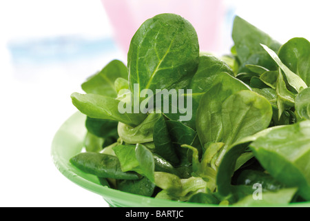 Feld-Salat in Plastikschüssel, Nahaufnahme Stockfoto