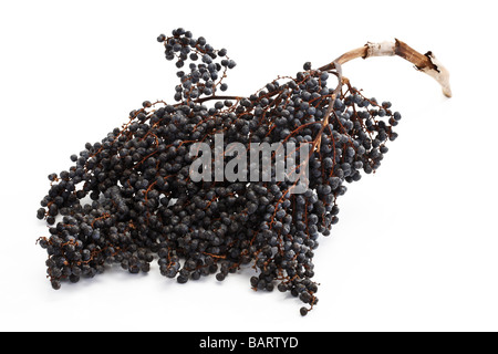 Acai Beeren Stockfoto