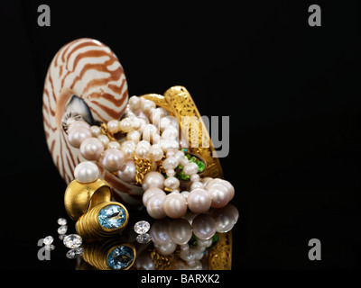 Nautilus und Schmuck Stockfoto