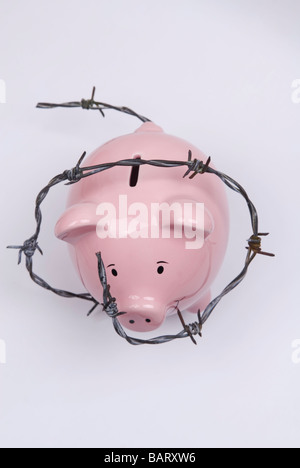 Sparschwein mit Barbwire vor einem weißen Hintergrund gewickelt Stockfoto