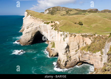 Felsbogen gegenüber Cape Farewell Südinsel Neuseeland Stockfoto