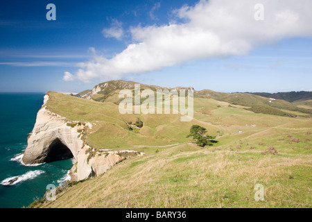 Felsbogen gegenüber Cape Farewell Südinsel Neuseeland Stockfoto