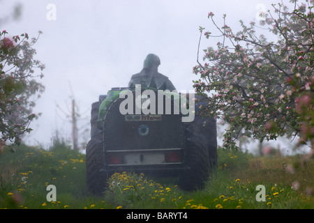 Landwirt Spritzen Apfelbäume mit Pestizid während Apfelblüten in Bramley Apfelplantage in County Armagh Nordirland Vereinigtes Königreich Stockfoto