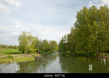 Themse im Fiddlers Island in Oxford England Stockfoto